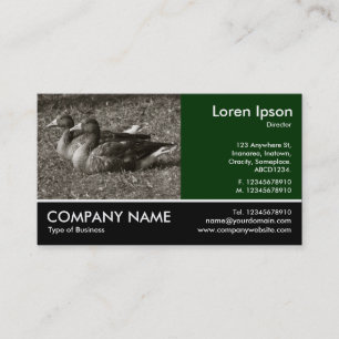 Tarjeta De Visita Fotografía Fotográfica - Greylag Geese (Sepia)