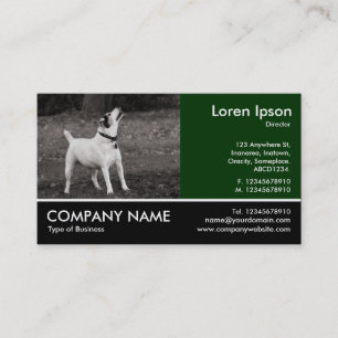 Tarjeta De Visita Fotografía Fotográfica - Perro Agog