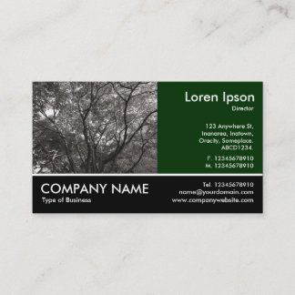 Tarjeta De Visita Fotografía Fotográfica - Sucursales Japonesas 02