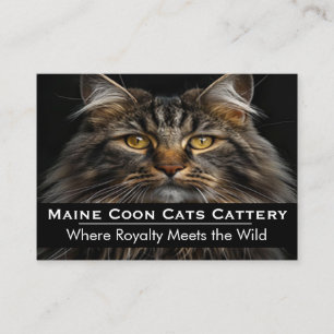 Tarjeta De Visita Fotografía personalizada Cattery Maine Coon Profes