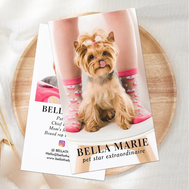 Tarjeta De Visita Fotografía personalizado Mascota moderna Fotografí (Subido por el creador)