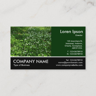 Tarjeta De Visita Fotografía pisada - Flores de Woodland