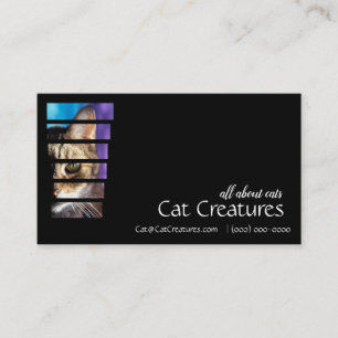 Tarjeta De Visita Fotografía por gato