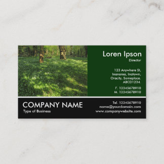 Tarjeta De Visita Fotografía: Primavera en los bosques