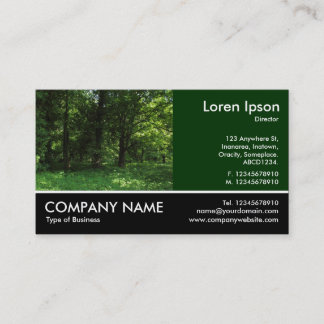 Tarjeta De Visita Fotografía: Primavera en los bosques 2002