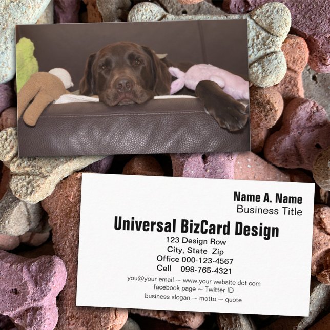 Tarjeta De Visita Fotografía recuperadora de chocolate Labrador (Subido por el creador)
