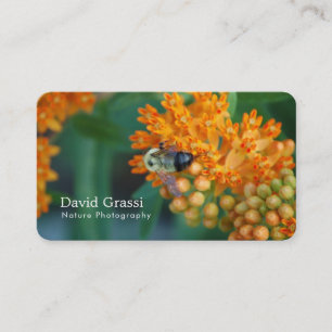 Tarjeta De Visita Fotógrafo de Bumblebee (Naturaleza)