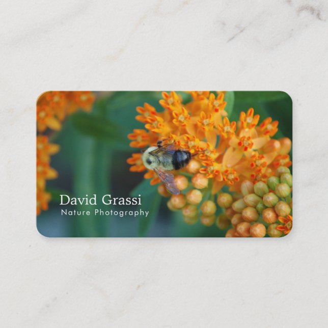 Tarjeta De Visita Fotógrafo de Bumblebee (Naturaleza) (Anverso)