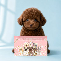 Fotógrafo de mascotas rosadas estudio de retrato d