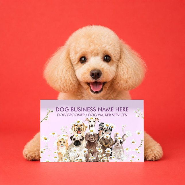 Tarjeta De Visita Fotógrafo de Perros Retrato de Daisy Morado (Subido por el creador)