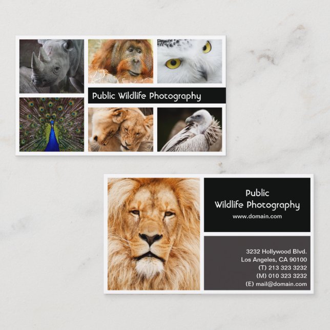 Tarjeta De Visita Fotógrafo fotográfico (Anverso / Reverso)