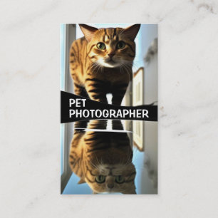 Tarjeta De Visita Fotógrafo mascota