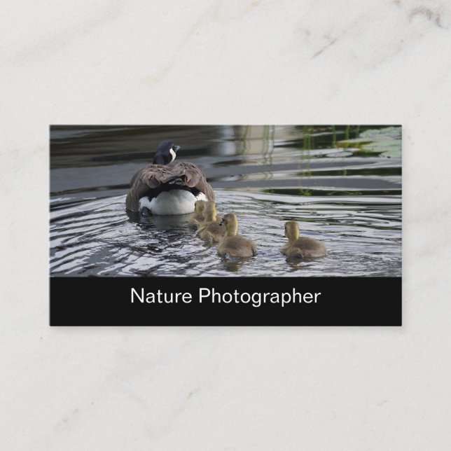 Tarjeta De Visita Fotógrafo profesional de la naturaleza y de la (Anverso)