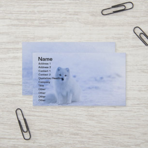 Tarjeta De Visita Fox del Ártico de Islandia