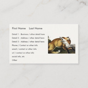 Tarjeta De Visita Fox roja estadounidense, Vulpes vulpes fulvus de A