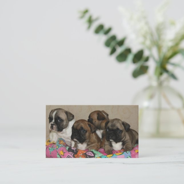 Tarjeta De Visita Französische Bulldoggen Kissen French Bulldog (Anverso de pie)