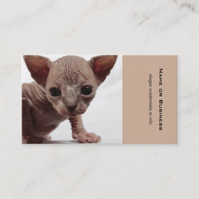 Tarjeta De Visita Freaky Cute Furless Sphynx Kitten (Anverso)