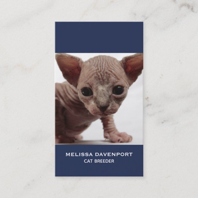 Tarjeta De Visita Freaky Cute Furless Sphynx Kitten (Anverso)