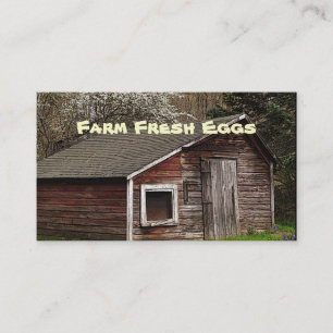 Tarjeta de visita fresca de los huevos