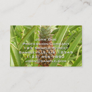 Tarjeta De Visita Fruta tropical de la piña silvestre en la naturale