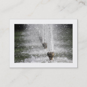 Tarjeta De Visita Fuentes (bordadas)