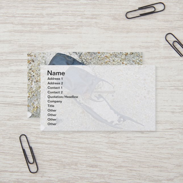 Tarjeta De Visita Fundas del huevo de patinaje en la playa (Anverso/Reverso In Situ)