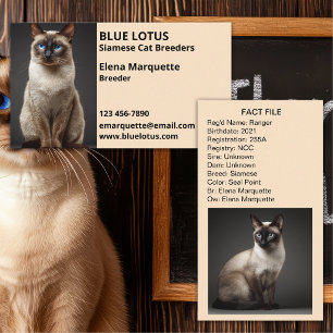Tarjeta De Visita Gadería Profesional, Criadores de Gatos Siameses