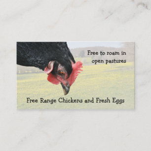 Tarjeta De Visita Gallina libre del negro de la gama
