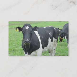 Tarjeta De Visita Gama de la granja de la novilla del buey de Bull