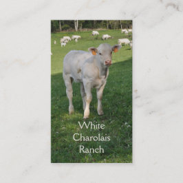 Tarjeta De Visita Ganados vacunos de Charolais con el becerro