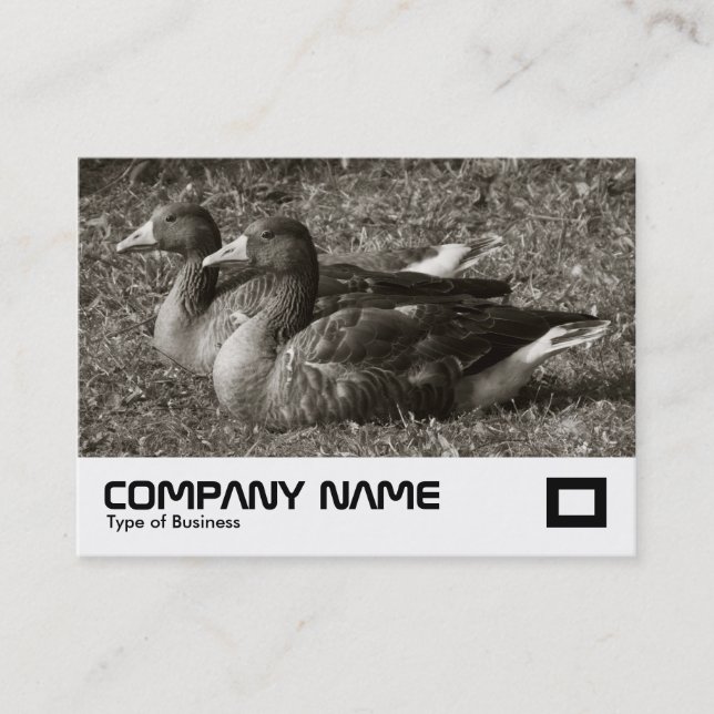 Tarjeta De Visita Gansos comunes (Sepia) (Anverso)