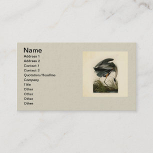 Tarjeta De Visita Garza azul grande de Audubon Marsh Bird