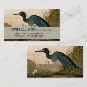Tarjeta De Visita Garza Grulla Azul Impresión de Audubon Arte Coster