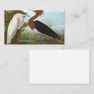 Tarjeta De Visita Garza morada de John James Audubon