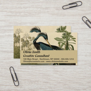 Tarjeta De Visita Garzas de Louisiana de Audubon Pájaros América Art