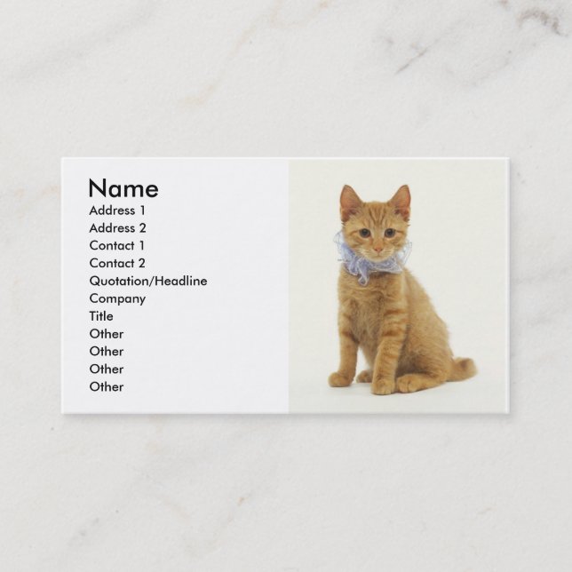 Tarjeta De Visita Gatito (Anverso)