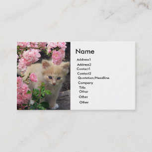 Tarjeta De Visita Gatito blanco y marrón