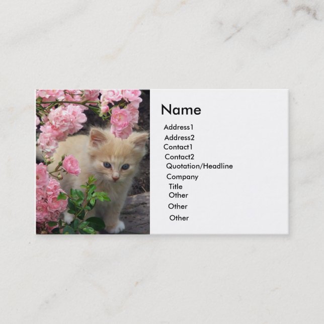 Tarjeta De Visita Gatito blanco y marrón (Anverso)