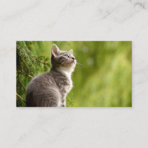 Tarjeta De Visita Gatito curioso