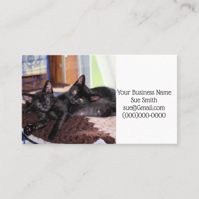 Tarjeta De Visita Gatitos (Anverso)