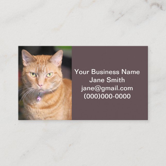 Tarjeta De Visita Gato (Anverso)