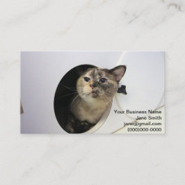 Tarjeta De Visita Gato