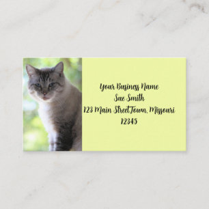 Tarjeta De Visita Gato