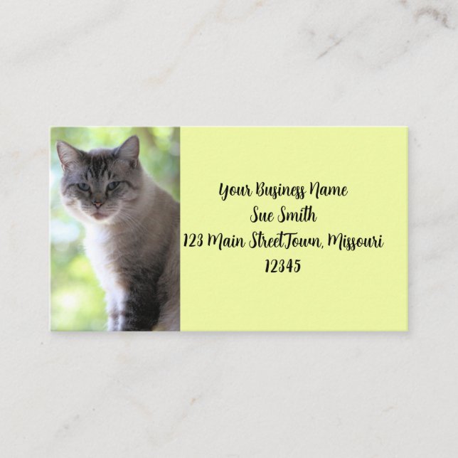 Tarjeta De Visita Gato (Anverso)