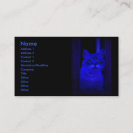 Tarjeta De Visita Gato azul
