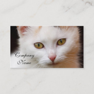 Tarjeta De Visita Gato blanco