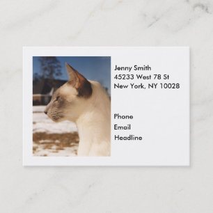 Tarjeta De Visita Gato de nieve - Perfil de punto azul siamés