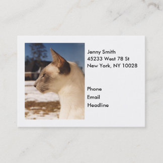 Tarjeta De Visita Gato de nieve - Perfil de punto azul siamés