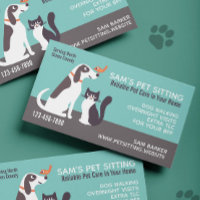 Gato de perro y pájaro | Sentación de Mascotas de