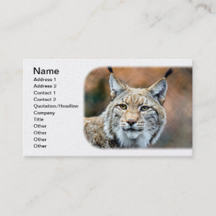 Tarjeta De Visita Gato del depredador de la fauna del lince del